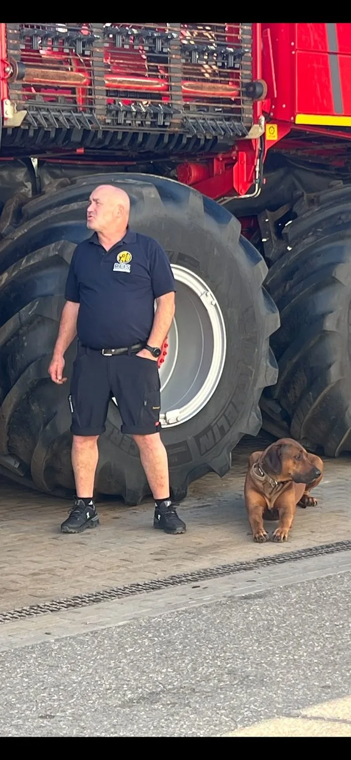Mitarbeiter im Poloshirt mit Firmenlogo neben dem Rad des Rübenroders, begleitet von einem Hund